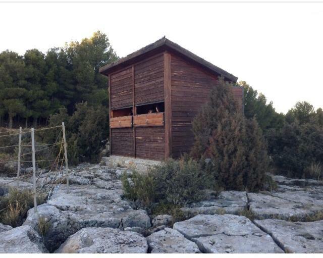 Apartamento Rural La Cascada De Calmarza Buitenkant foto